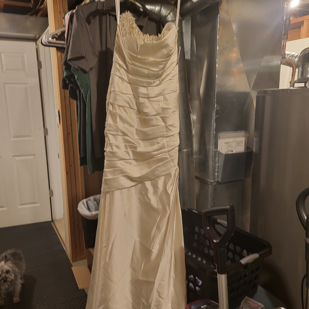 Wedding Dress - Picture 6 of 7